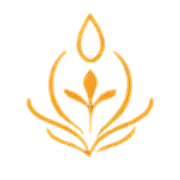 Guides & White Papers Icon
