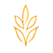 Studies & Trends Icon