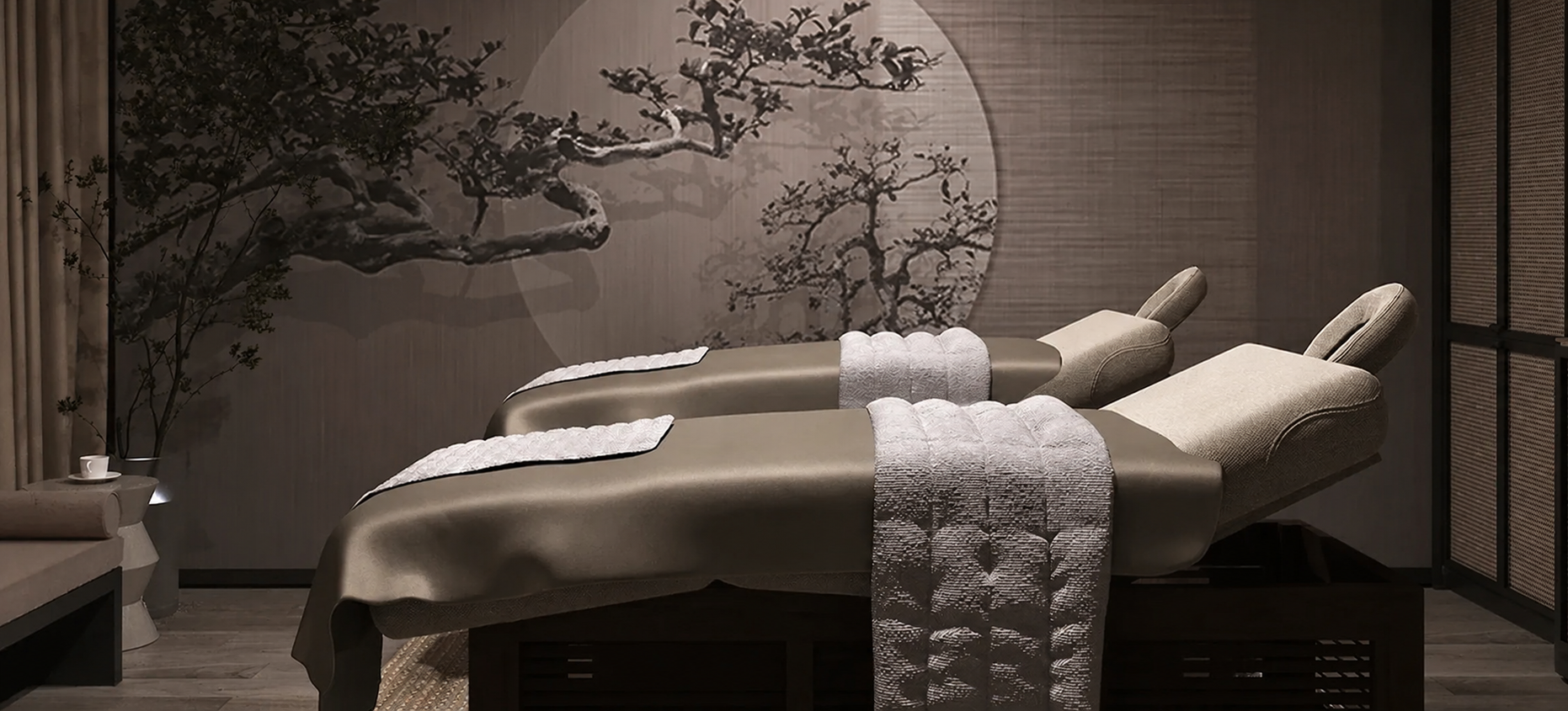 Spa Concept Rendering